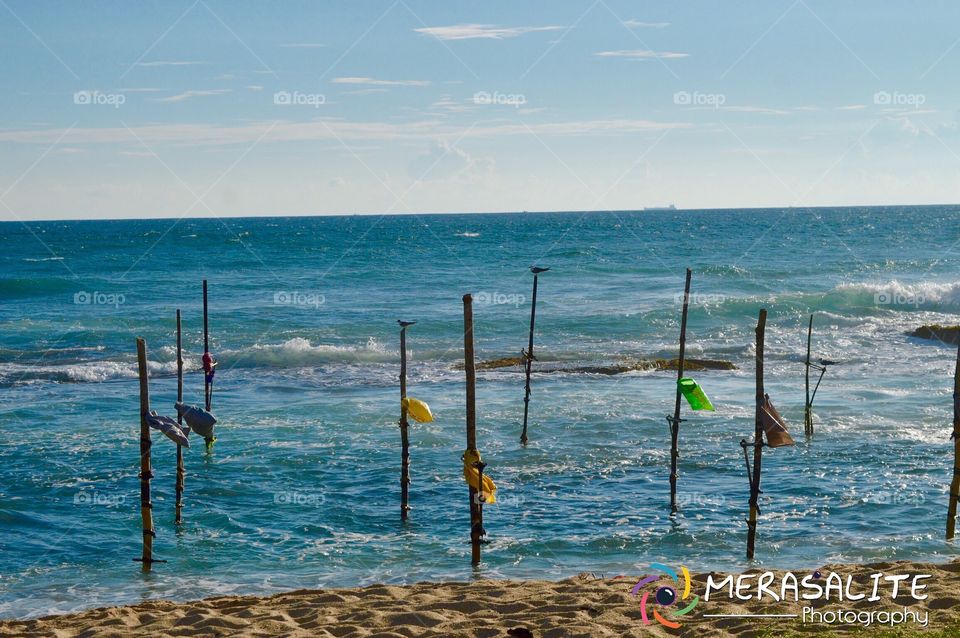 Waiting for fisher mans 
Sri Lanka koggela peach place 