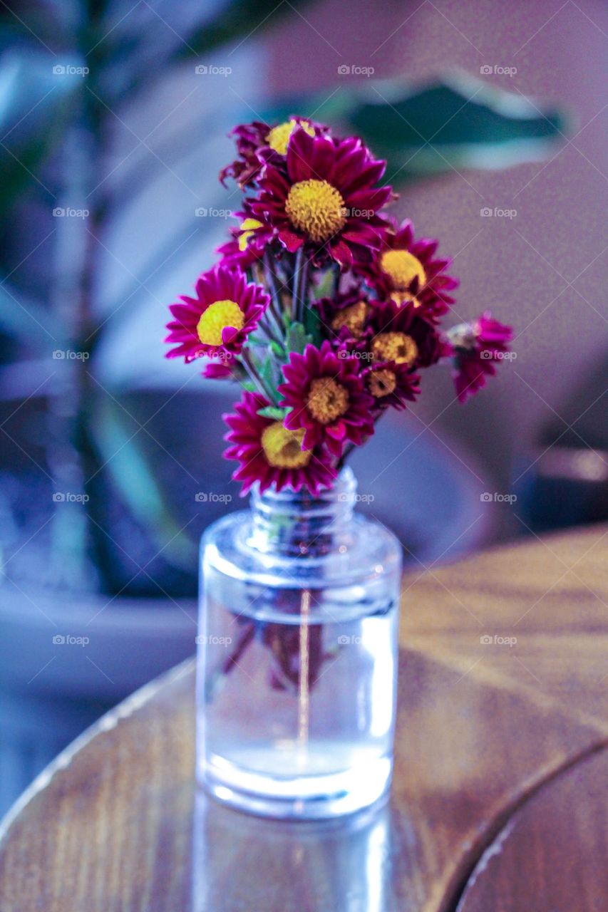 Flower in vase