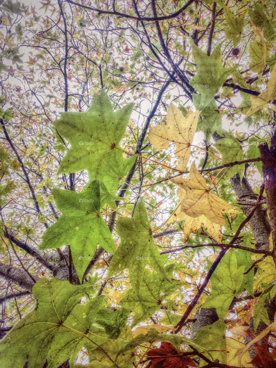 changing perspective