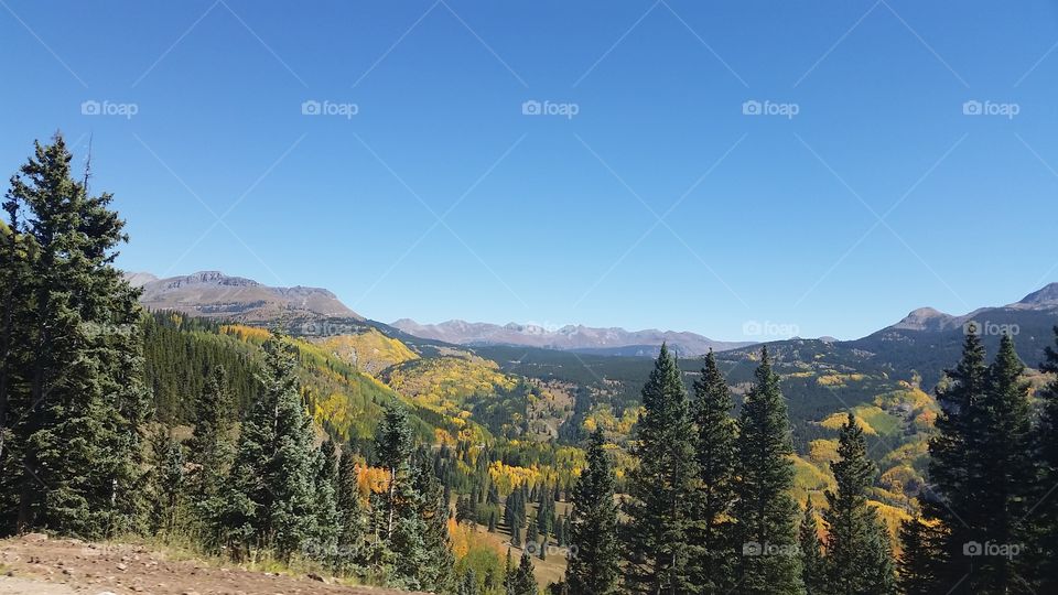 Wood, No Person, Mountain, Fall, Nature