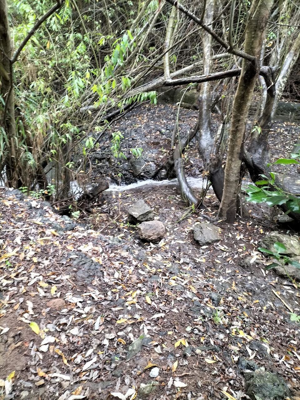 barranco Azuaje gran canaria