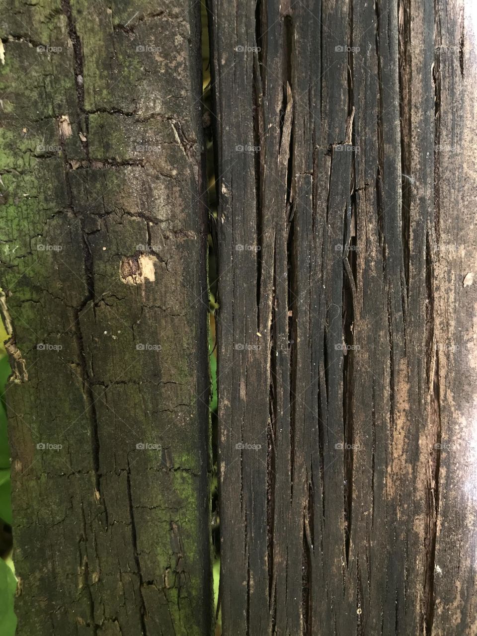 weather-worn wood