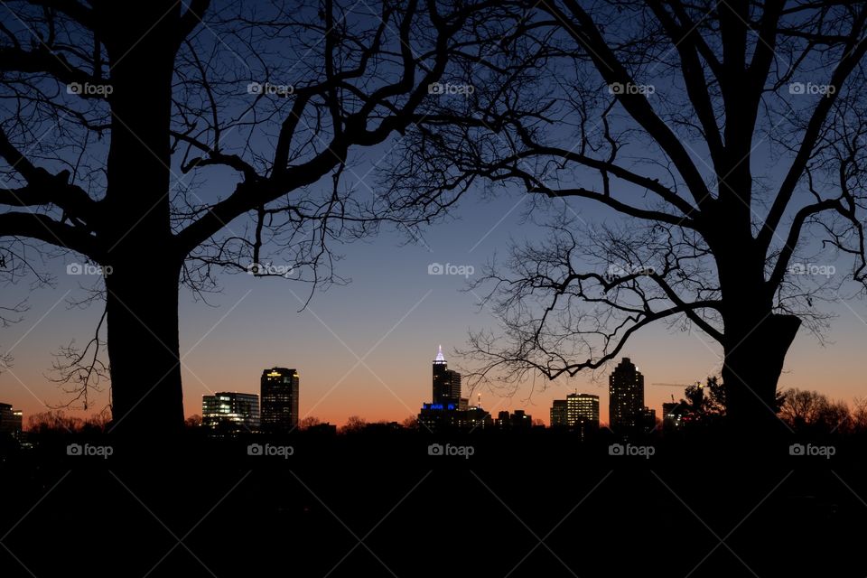View during the morning twilight from Dorothea Dix Park of the Raleigh cityscape. 