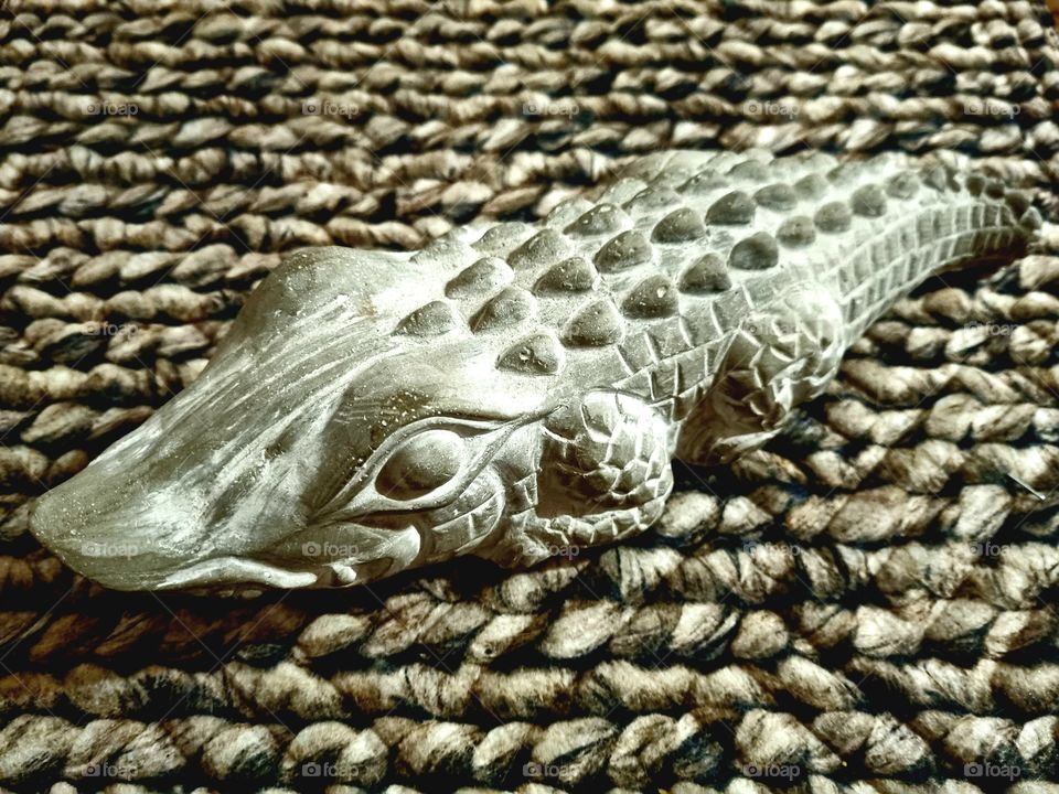 lizard with big eyes