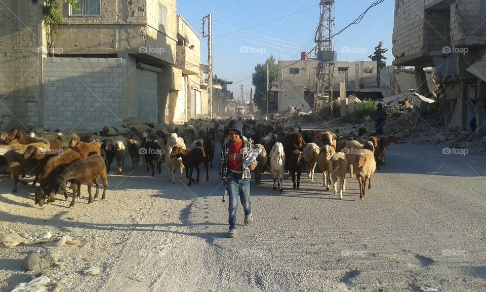 smbel life with tired