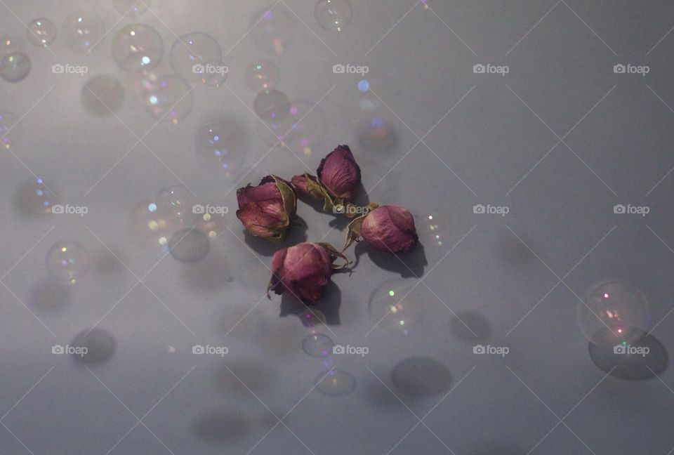 Simple, Rose buds and Bubbles