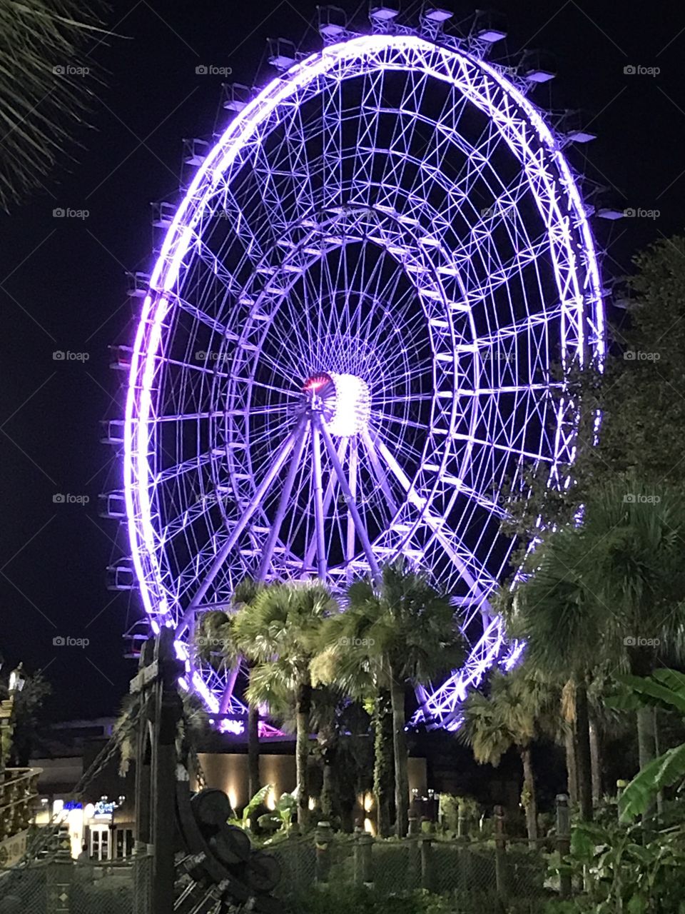 Purple lit ferries wheel 