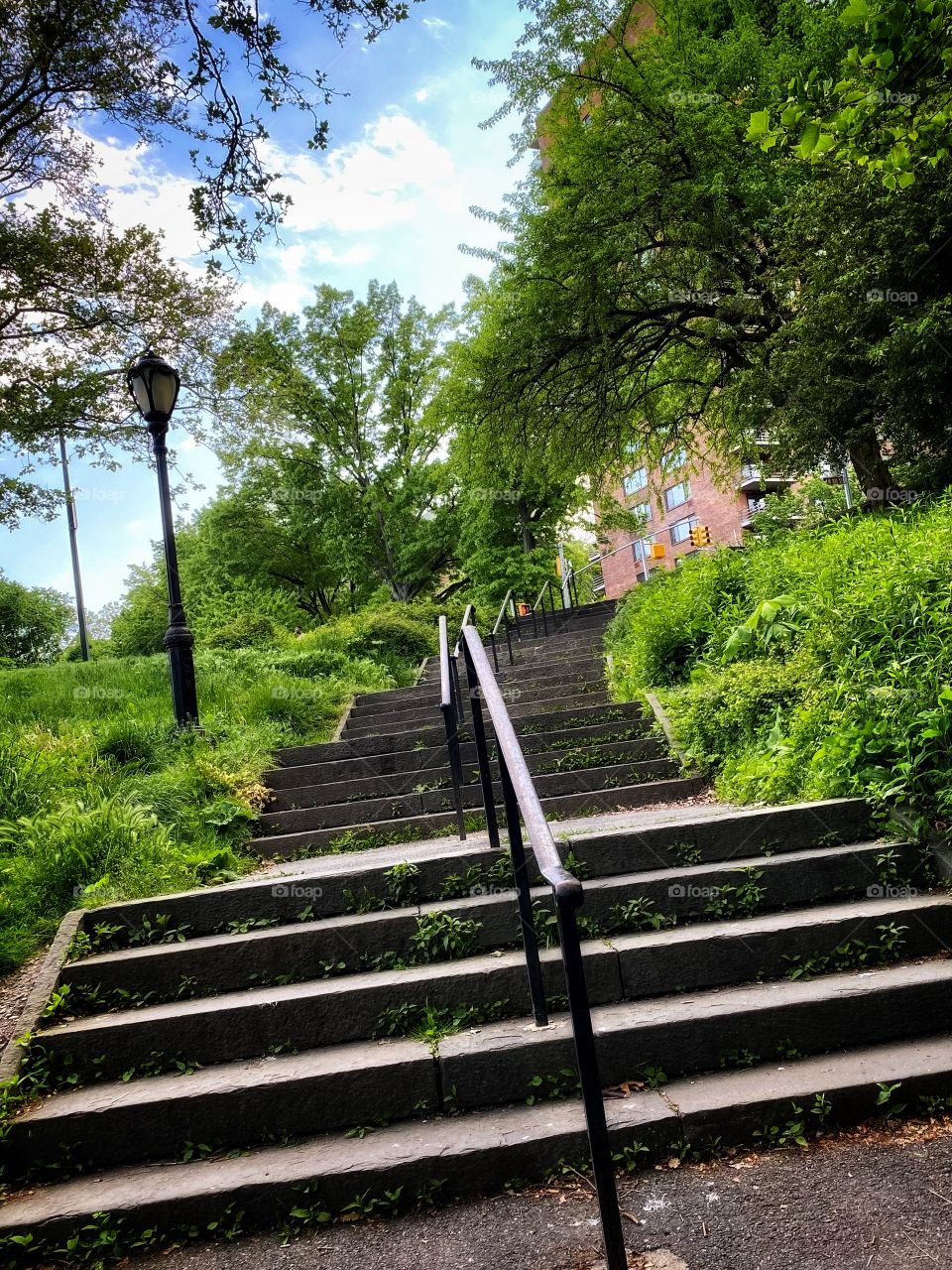 Stairs in Central Park New York surrounded by green leaves. 