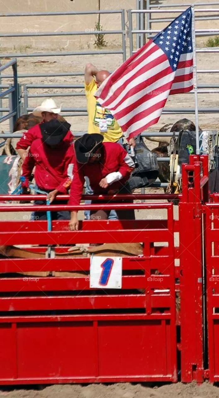 rodeo