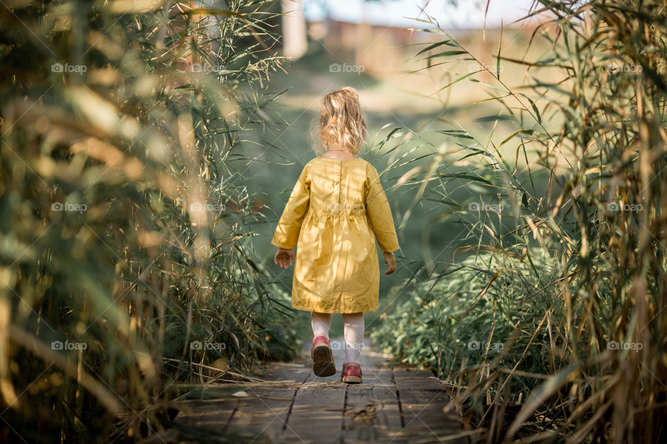 Little girl portrait at autumn day