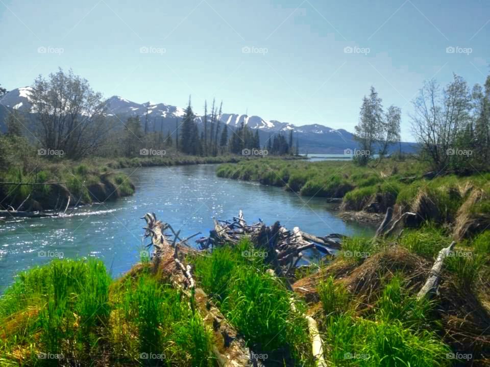 The Kenai River flows into Skilak Lake near Sterling, Alaska.