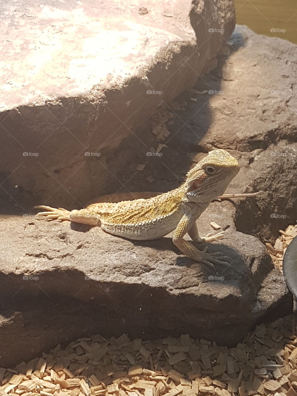 I am different from the rest now go away!!