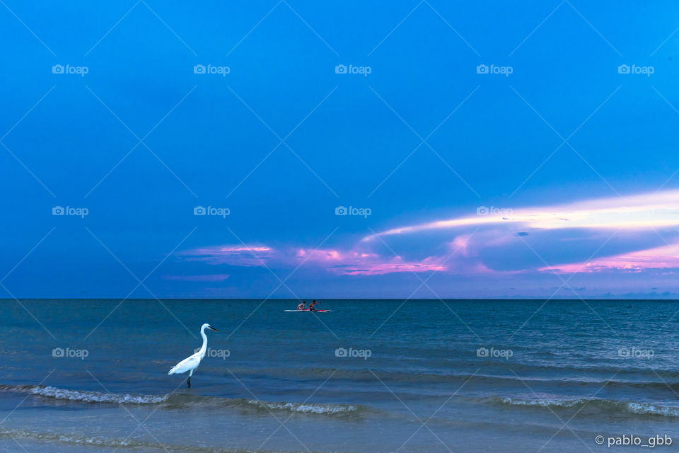 When in doubt, TRAVEL 🗺