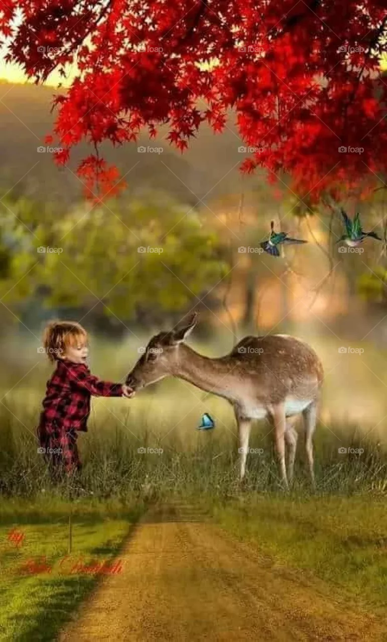 baby friend