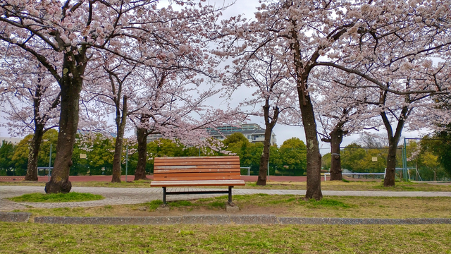 Garden Bench
