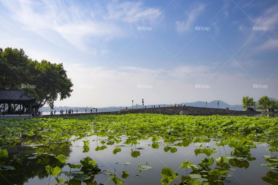 夏日断桥