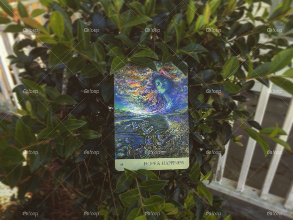 Edited photo of an oracle card 