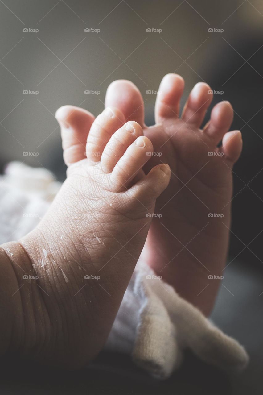 A close up portrait of tiny baby feet of a newborn baby stretching its tiny toes.