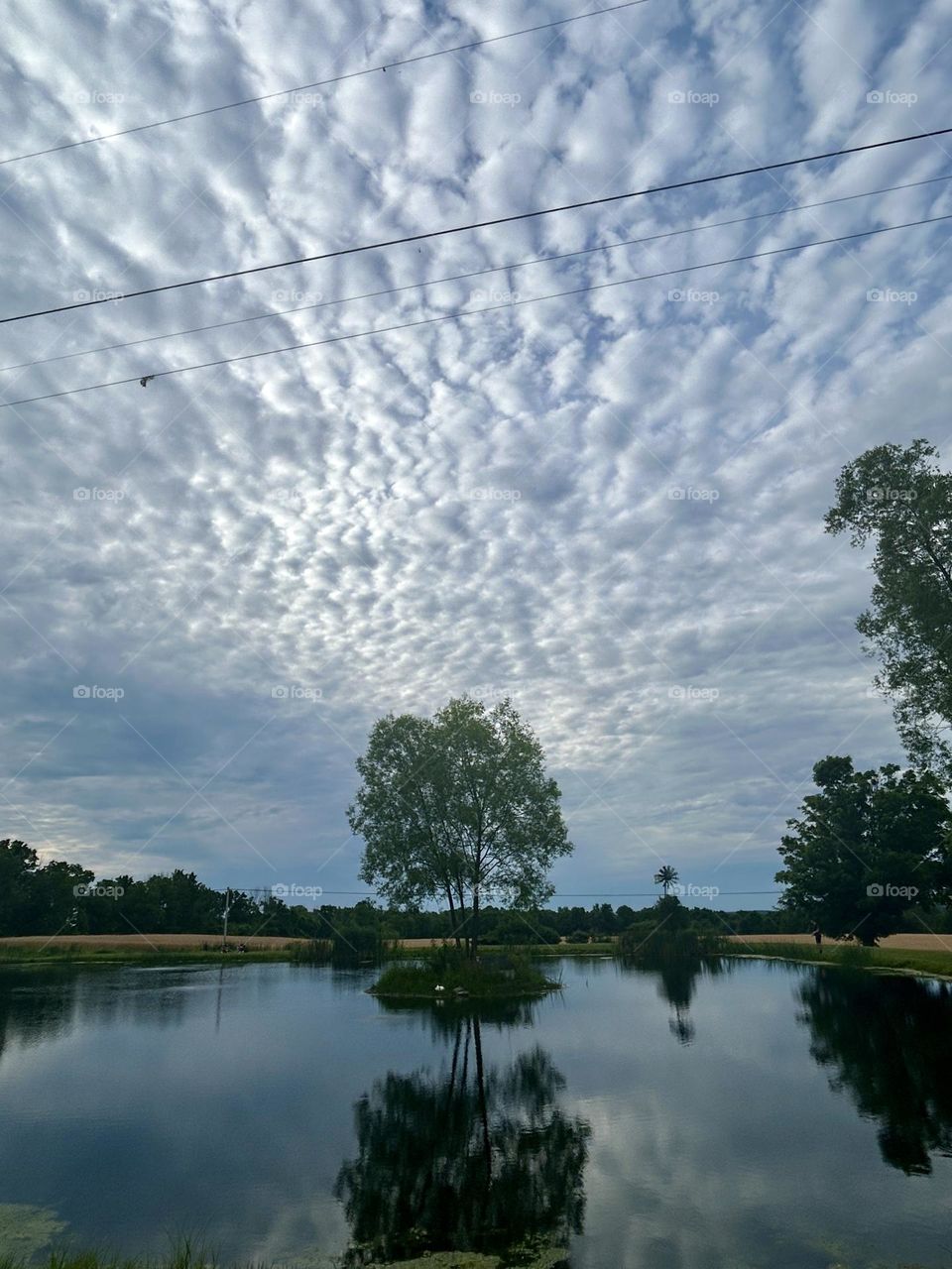 Cloud covered tree reflection 