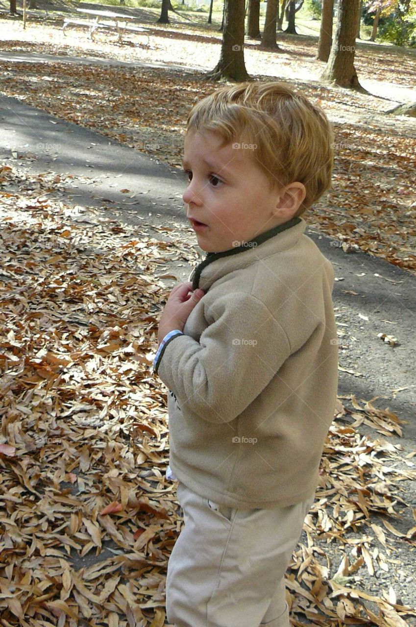 Boy in the leaves