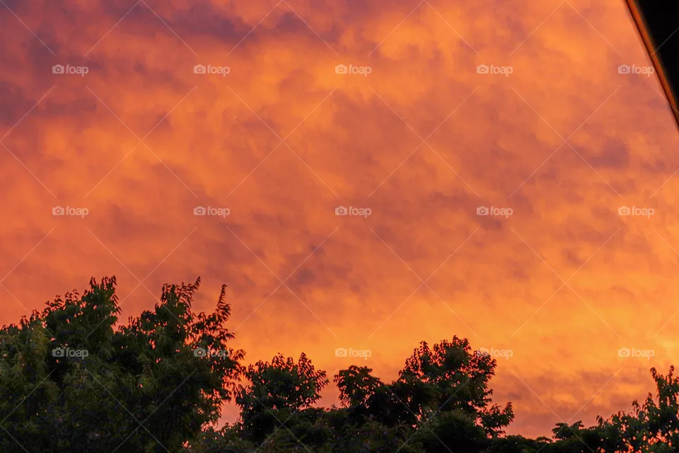 sun set
