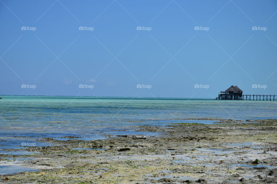 Low tide in Zanzibar