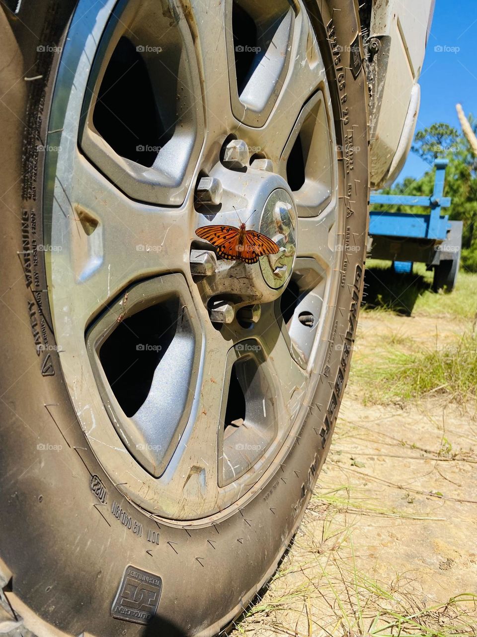 Dirt roads and butterflies 