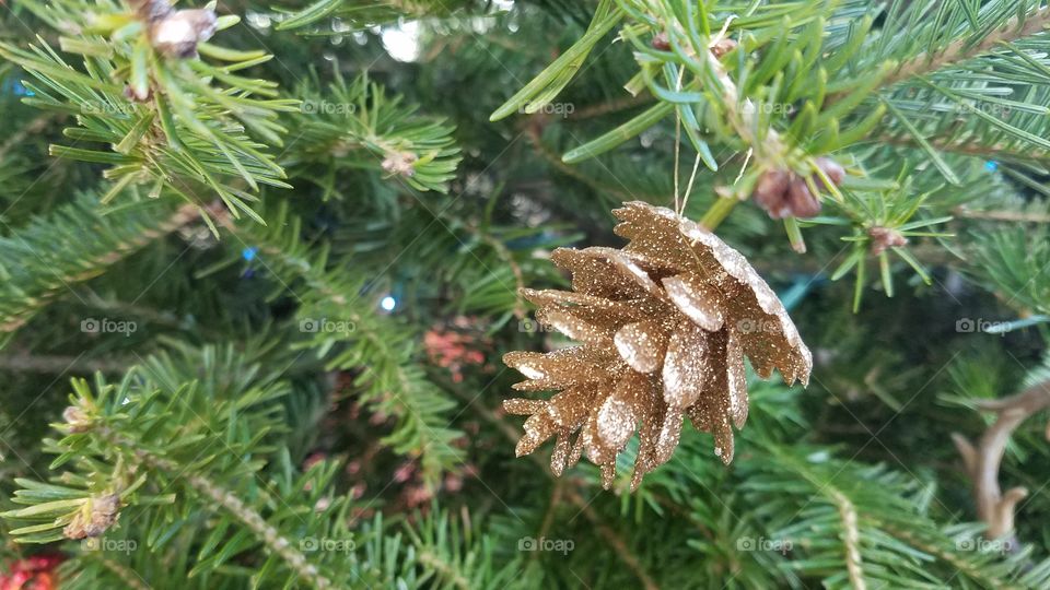Pinecone Ornaments