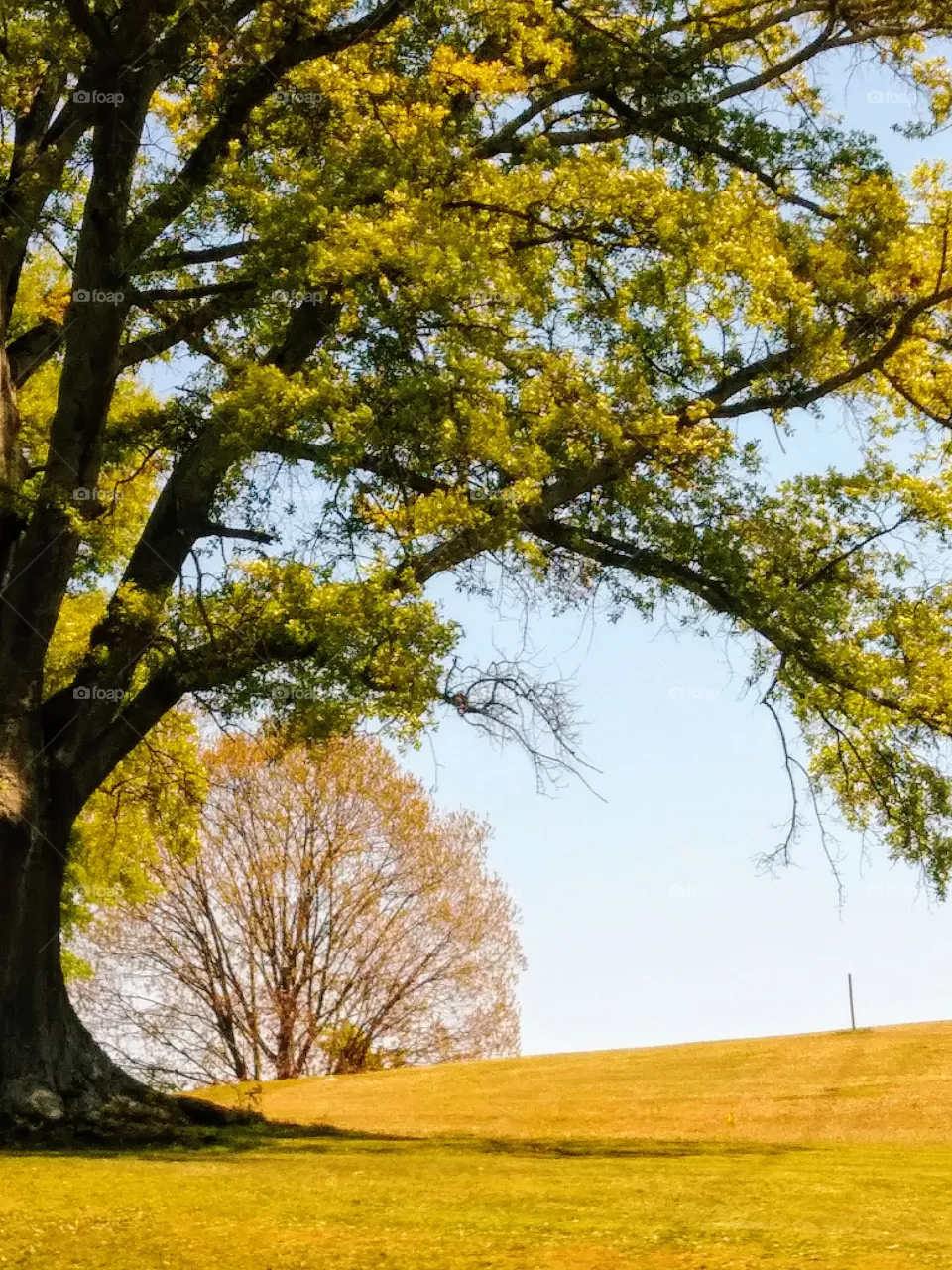 scenic