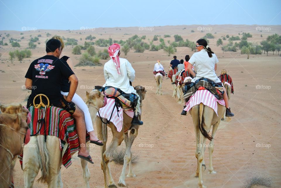 Camel ride