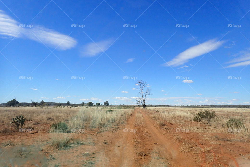 outback Australia