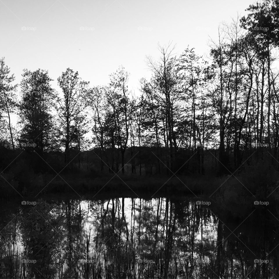 Reflection in black and white
