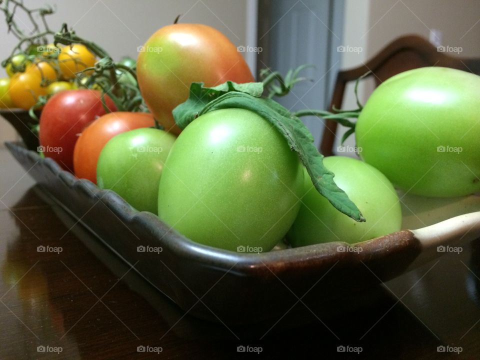 Tomatoes fresh from the garden 