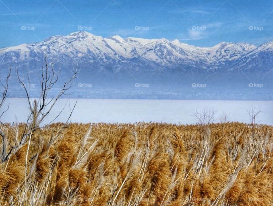 Utah Lake