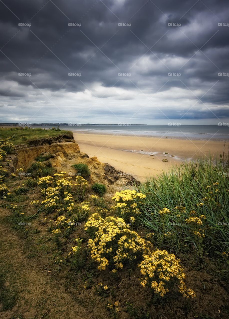 Scenic view of beach