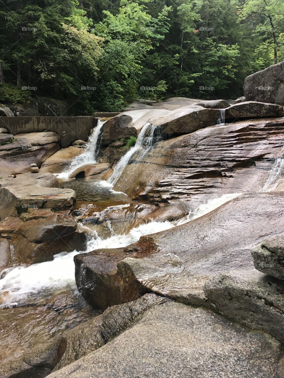 One of Diana’s Baths