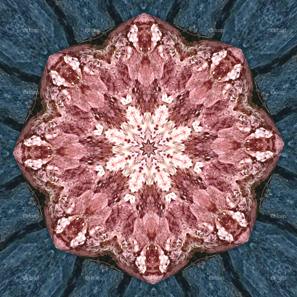 Flower Fractal in Shades of Pink