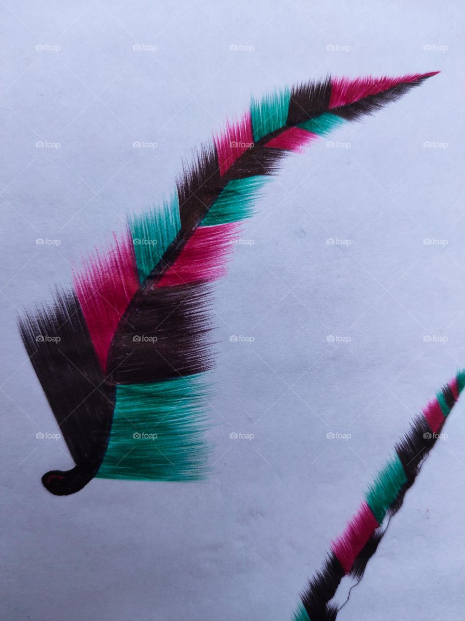 The picture of Tia bird's feathers looks very beautiful.  I took this picture myself.  I'm on the account page guys.