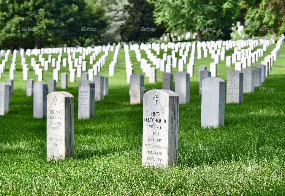 Arlington cemetery. 