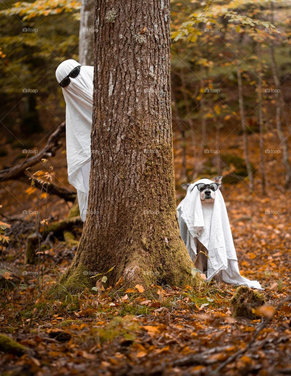 A dog and woman dressed up as ghosts