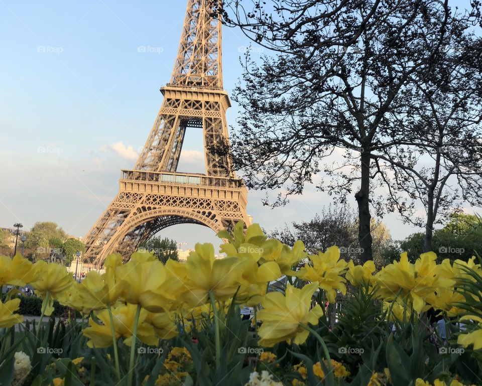 Eifel Tower in park!