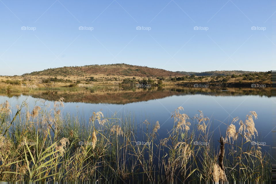 Another Dam Reflection