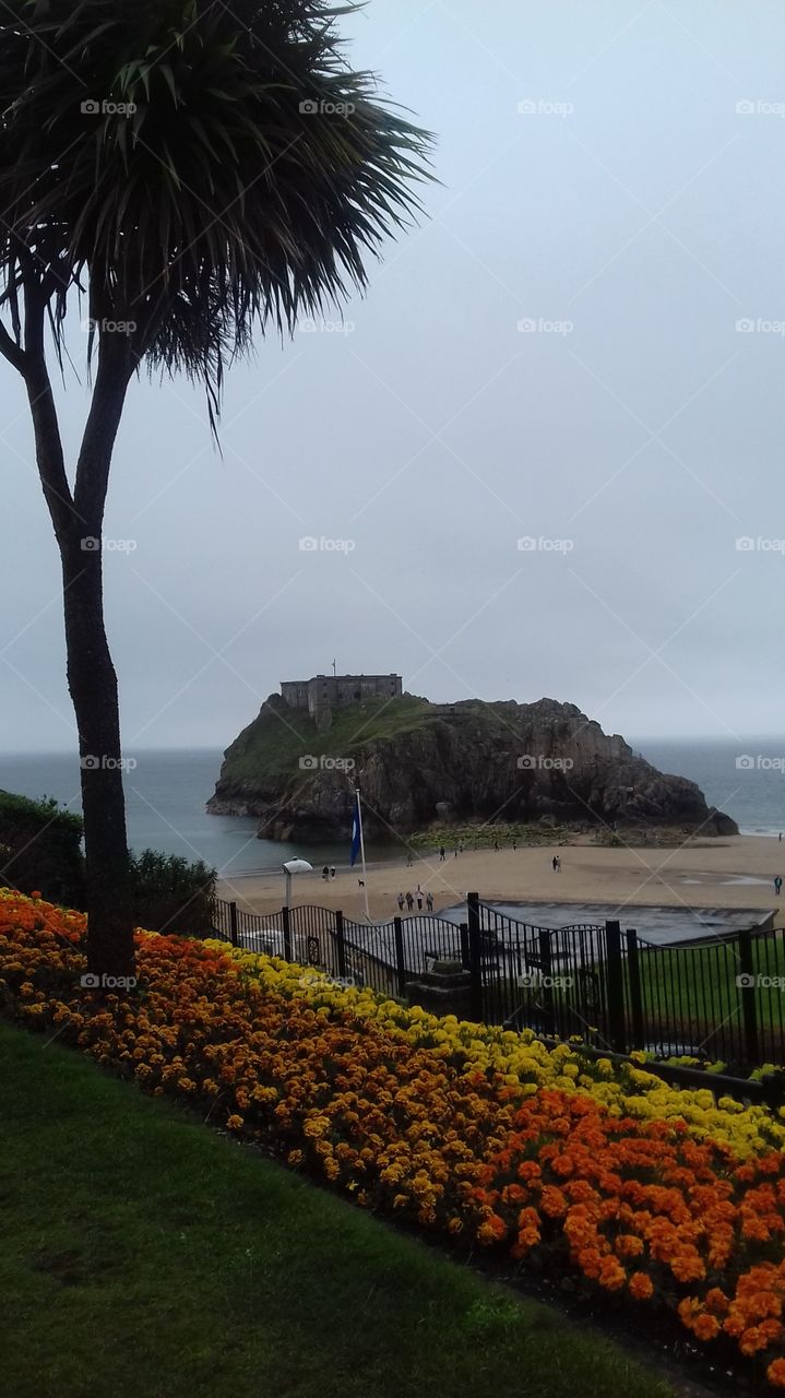 tenby coastline