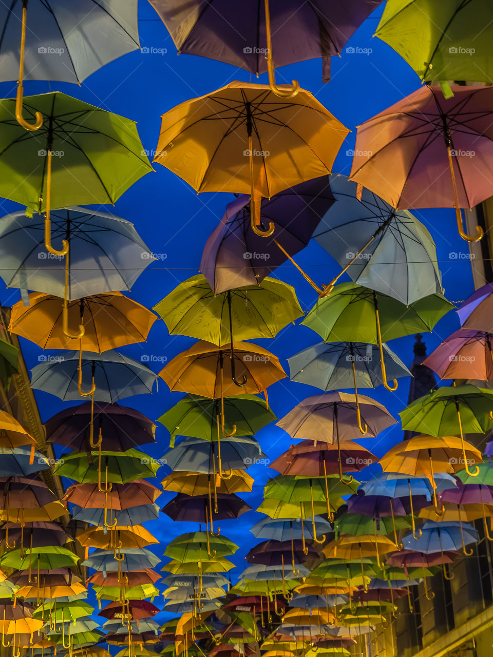 Równe parasolki