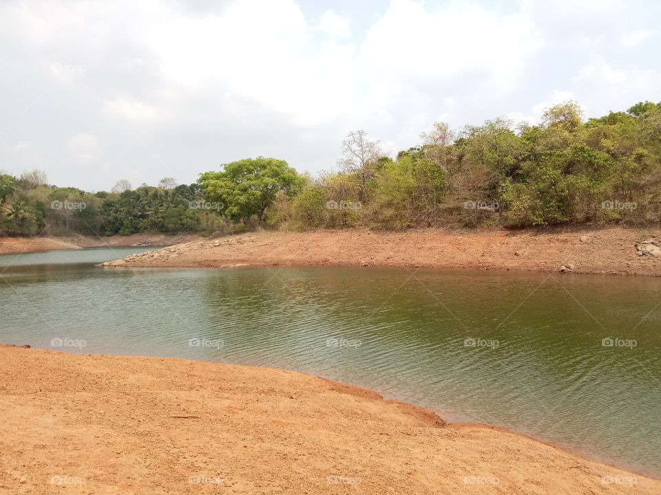 River in summer Season