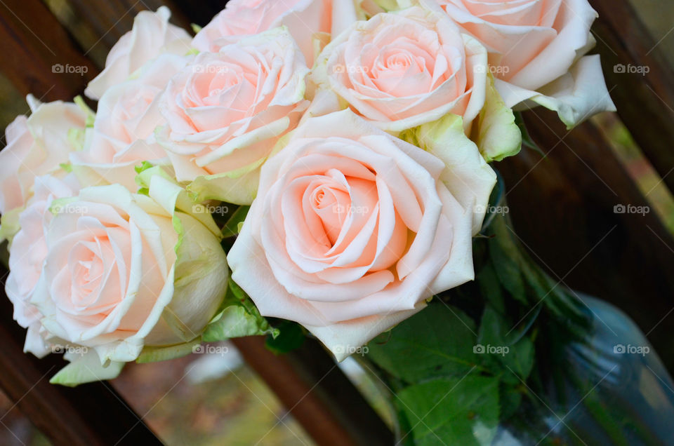 Pop of Pink (Series)