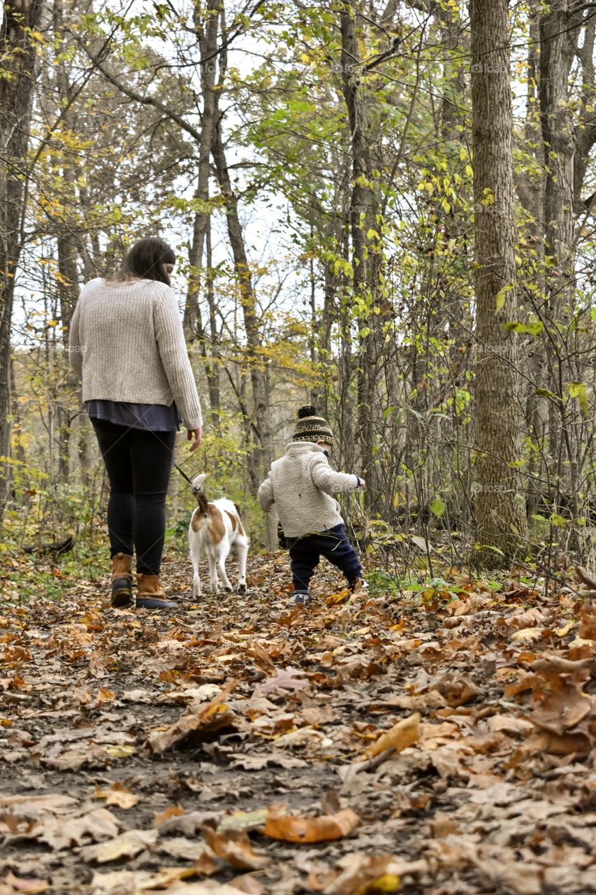 Cute toddler boy on a nature walk with his mother and pet dog 