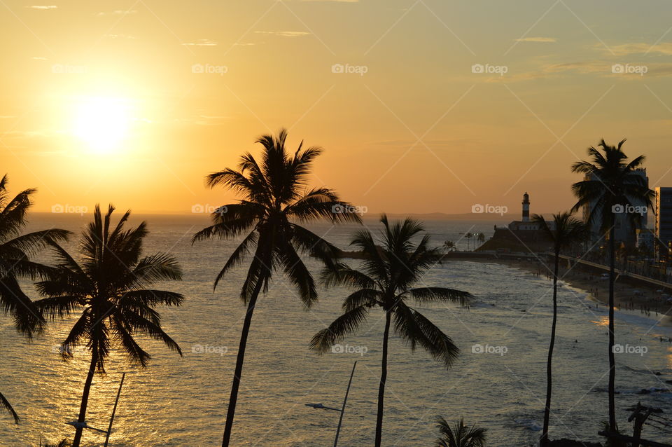 Beach, Palm, Tropical, Sun, Sand