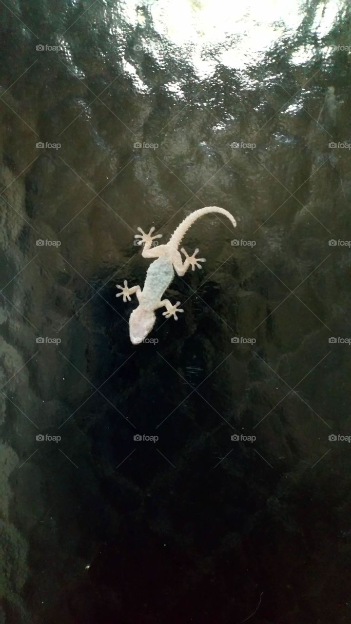 Mi simpatico vecinito