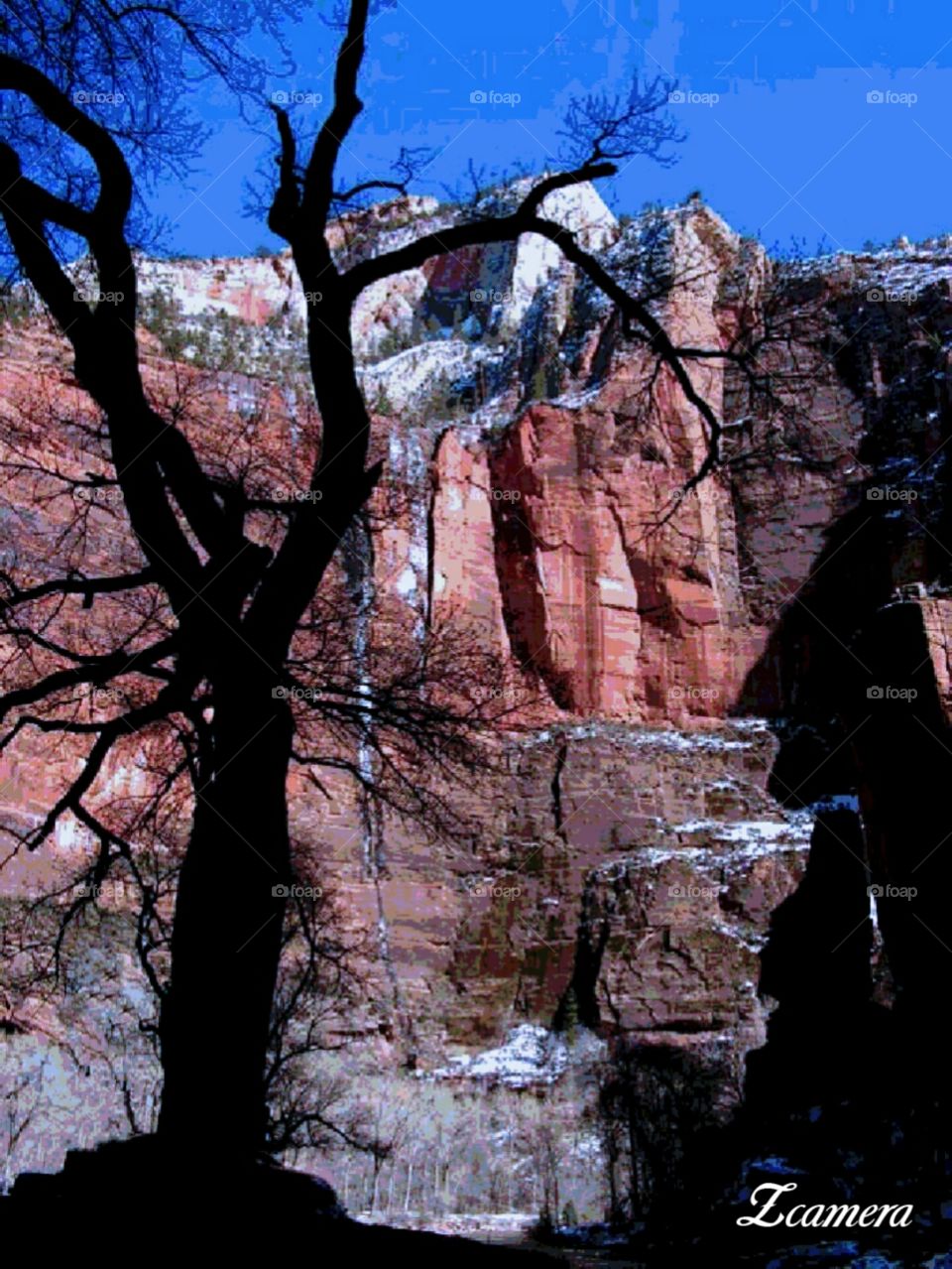 Zion In Color